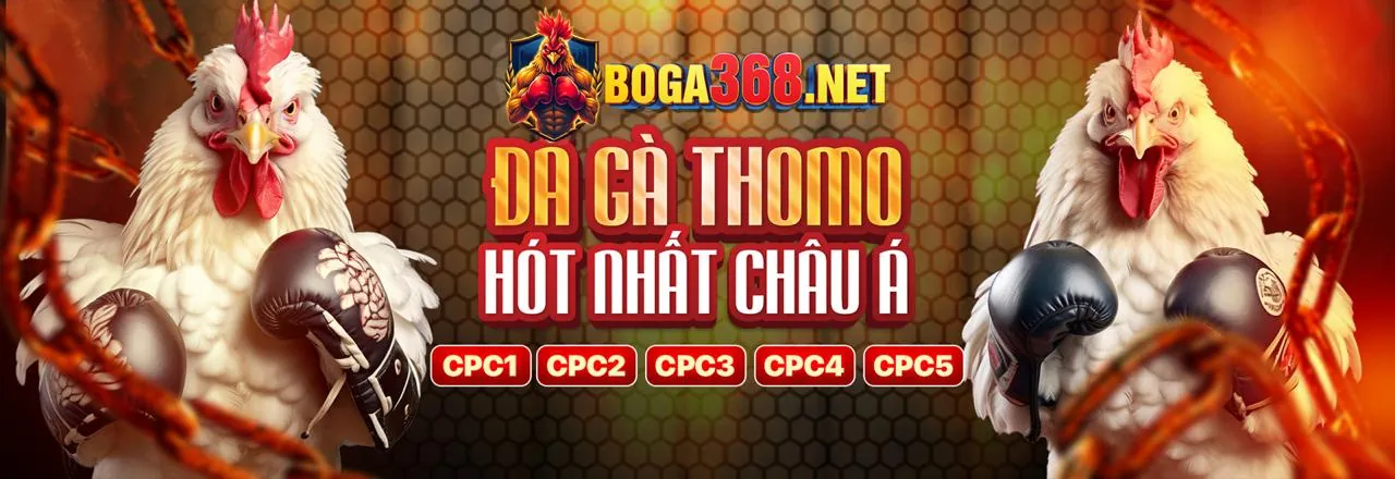 Đa dạng trò chơi cá cược tại Win55