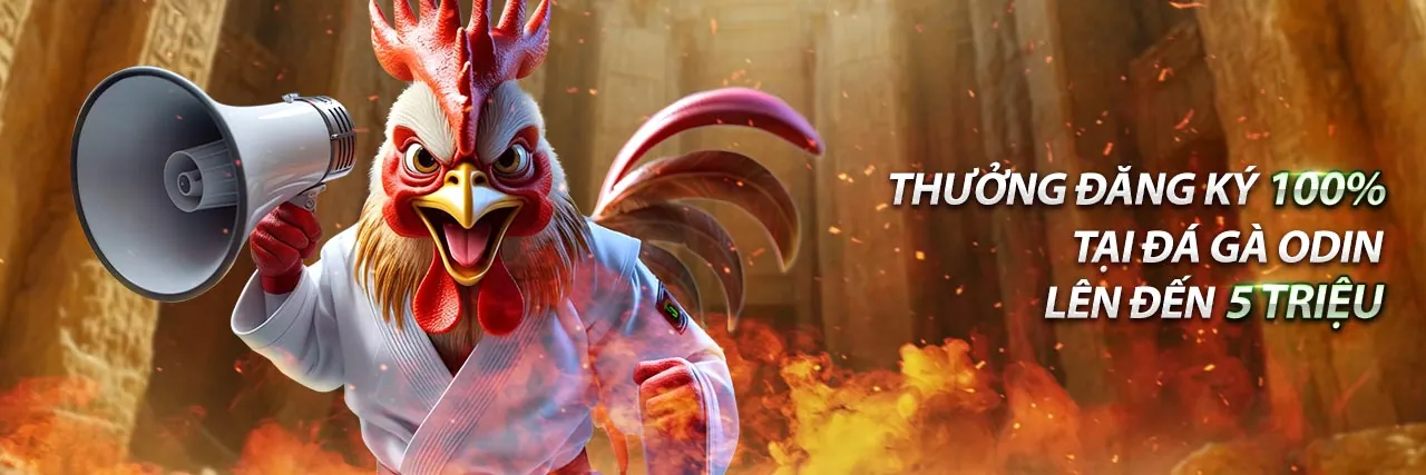 Câu Lạc Bộ VIP Độc Quyền Win55